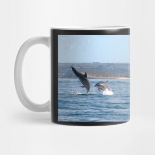 Dauphins dans l'archipel de Molène Mug